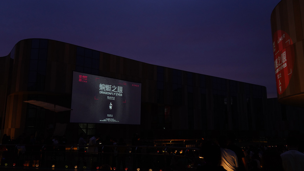 爱慕艺术季 × 徐冰「蜻蜓之眼」