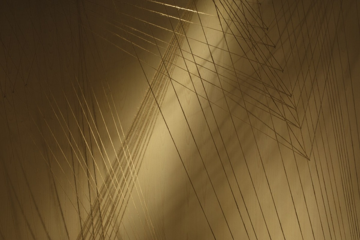 Aēsop 装置艺术展览 Epistēmē