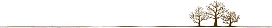 大树分割线