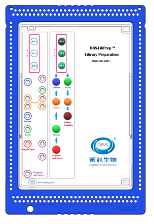 DBS-LibPrep测序自动建库仪-2