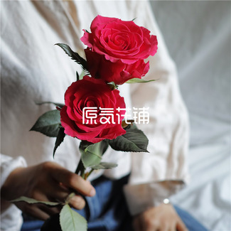 唯一--单枝中国云南玫瑰