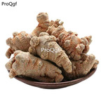 29usd Prodgf 500gram A Set Natural yunnan Sanqi panax Notoginseng