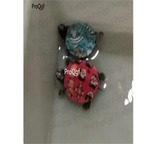39usd Ngryise 2pcs a set Trachemys scripta real tortoise random color
