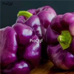39usd Prodgf 9000Pcs A Set purple bell pepper vegetable seed
