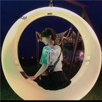 339usd Prodgf 1 Set many species choice Hanging Chair