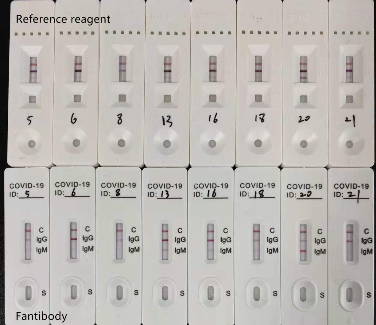 仅用作对新型冠状病毒核酸检测阴性疑似病例的补充检测指标或疑似病例