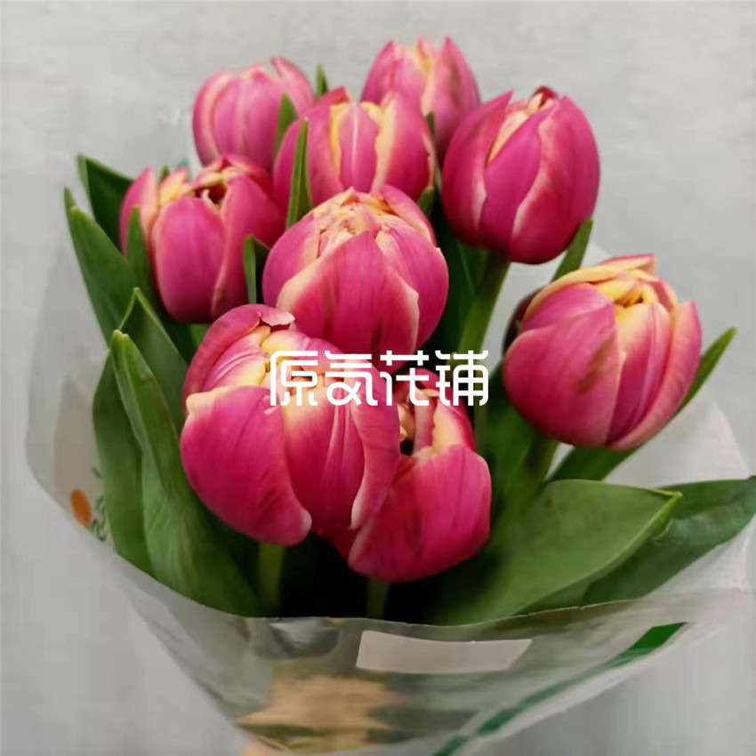 原气花铺-花店-上海-北京心动--多色郁金香花束-7