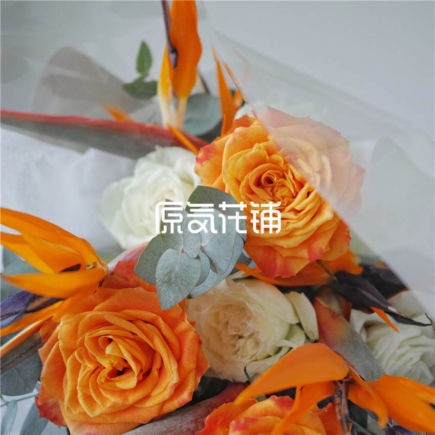 原气花铺-花店-上海-北京天堂鸟--鹤望兰火焰玫瑰混合花束-4