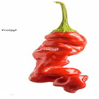19usd Prodgf 6000Pcs A Set Joes Peter Pepper seed