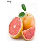29usd Prodgf 50Pcs A Set Citrus paradisi seed
