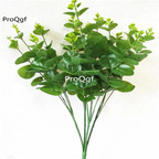 29usd Prodgf 1000Pcs A Set Eucalyptus robusta seed