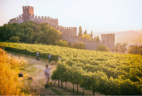 Wine to Asia 2021 一次性打卡意大利全境16个葡萄酒产区，来吗？