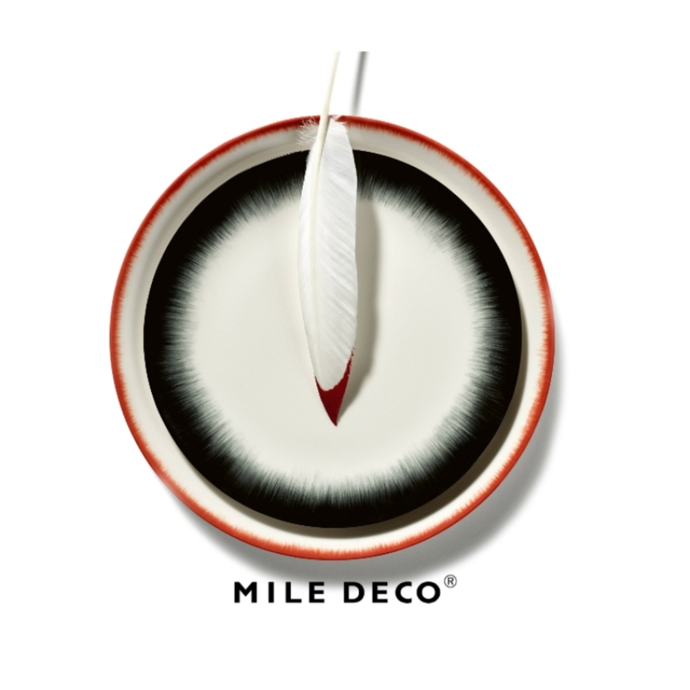 现货 盘 暗黑美学比利时Serax中西餐平盘Ann Demeulemeester正品