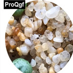 39usd Prodgf 100pcs a set Conophytum violaciflorum RR1108 MSG 2454 seed