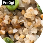 39usd Prodgf 100pcs a set Conophytum 1410.657 Seed