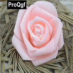 19usd QGF 3000Pcs A Set Prodgf Simple Life Rose Flower seed