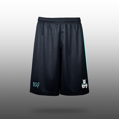 Boys Basketball Shorts 男装篮球服短裤