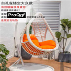 200usd Weibog 1Pcs A Set ins Prodgf Minshuku Peacock Beautiful Swing Chair