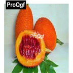 10usd Prodgf 300Pcs A Set Rare Power Pomegranate Seed