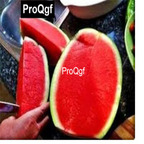 10usd Prodgf 500Pcs A Set Imported Thailand Watermelon Fruit Seed