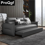 500usd Prodgf 1Pcs A Set ins Morning Home Your Fashion Foldable Sofa Bed