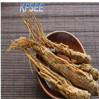 19usd Kfsee 2000Pcs A Set Prodgf Angelica sinensis seed