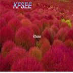 19usd Kfsee 6000Pcs A Set Kochia scoparia seed