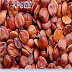 19usd Kfsee 3000Pcs A Set Prodgf Jujube seed