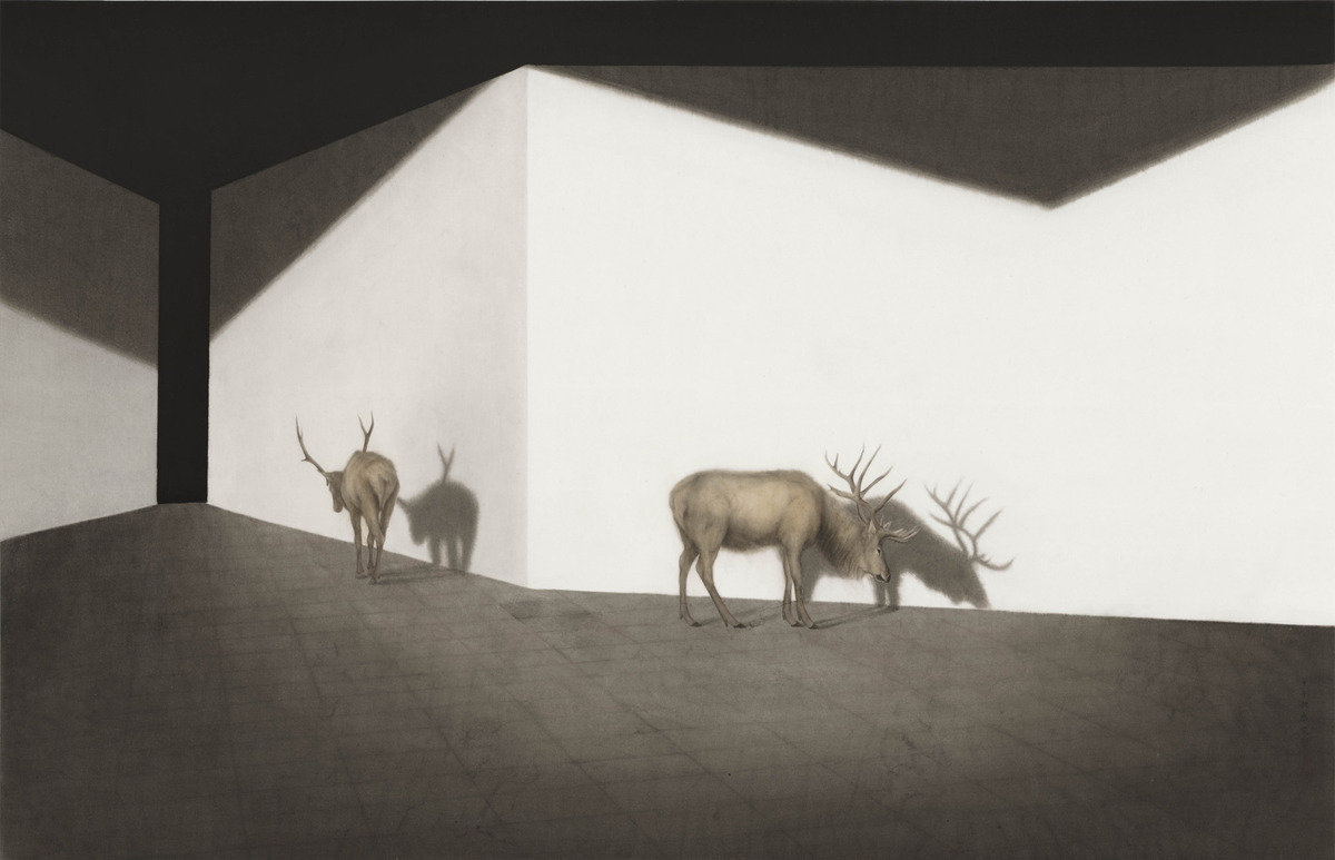 王萌专栏 | 真实的奇异空间