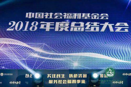 中国社会福利基金会2018年总结大会在京举行