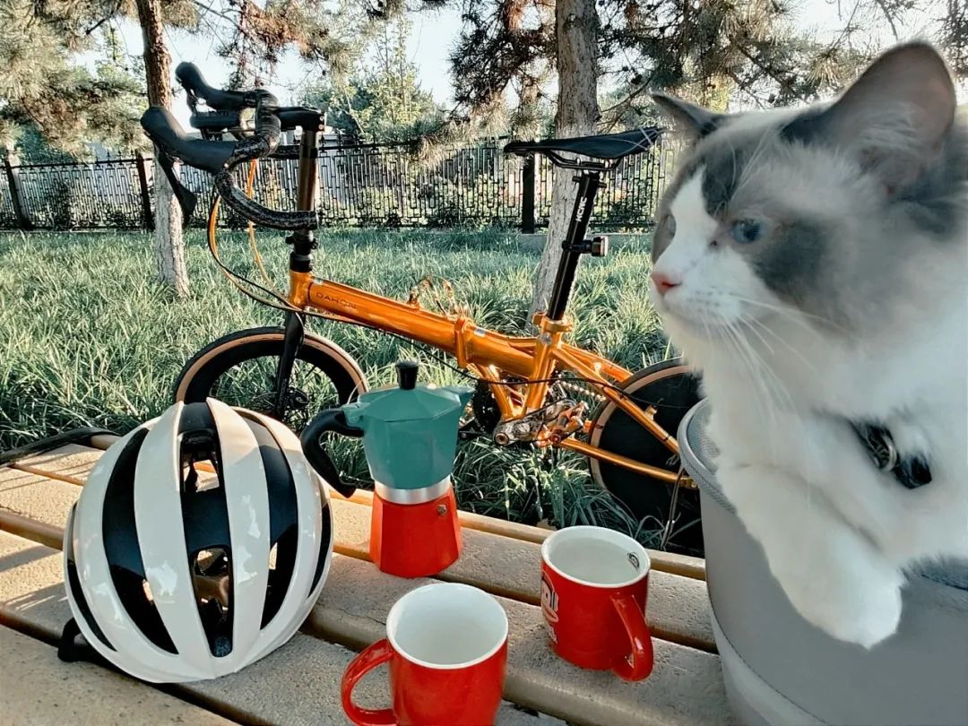 大行生活家金色年华1