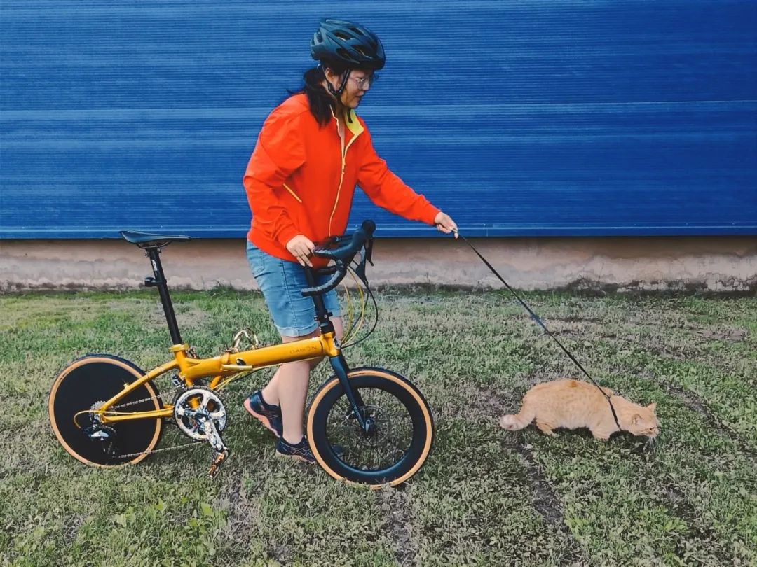 大行生活家金色年华2