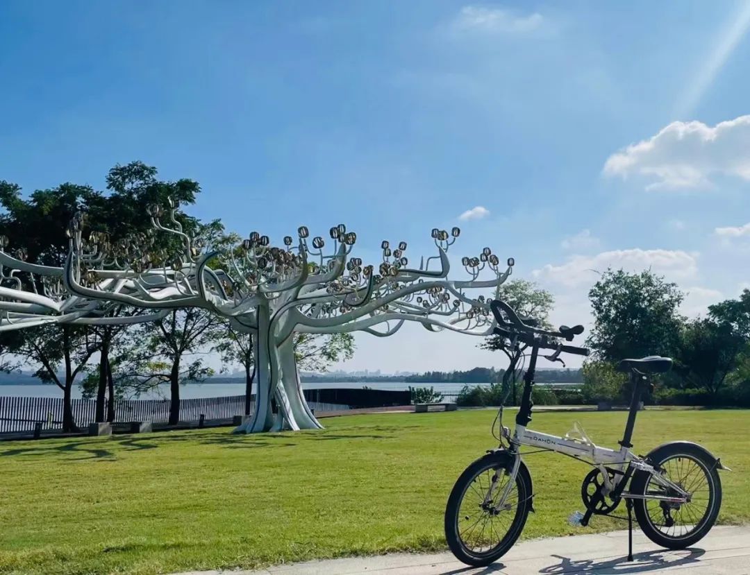 大行和我在江城的日子