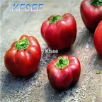 10usd Prodgf 3000Pcs A Set Pimiento Pepper Seed
