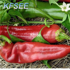 10usd Prodgf 3000Pcs A Set jim chili Pepper Seed