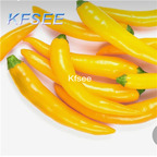 10usd Prodgf 3000Pcs A Set Cayenne gold Pepper Seed