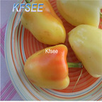 10usd Prodgf 3000Pcs A Set Sweet Bell Pepper Seed