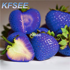 10usd Prodgf 5000Pcs A Set Blue Strawberry Fruit Seed