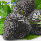 10usd Prodgf 5000Pcs A Set Black Strawberry Fruit Seed