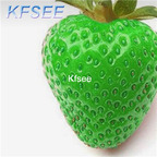 10usd Prodgf 5000Pcs A Set green Strawberry Fruit Seed