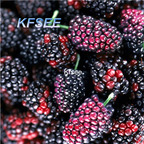 10usd Prodgf 5000Pcs A Set Mulberry Fruit Seed