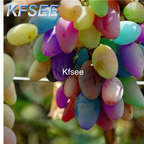 10usd Prodgf 2000Pcs A Set Rainbow Grape Fruit Seed