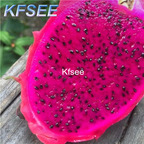 10usd Prodgf 300Pcs A Set Hylocereus undatus Dragon Fruit Seed