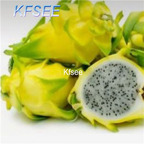10usd Prodgf 300Pcs A Set Hylocereus undatus Dragon Fruit Seed