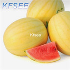 10usd Prodgf 300Pcs A Set Citrullus Watermelon Fruit Seed