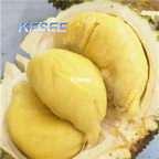 10usd Prodgf 5Pcs A Set Durian Fruit Seed