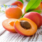 10usd Prodgf 20Pcs A Set Apricot Fruit Seed