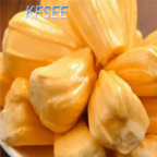 10usd Prodgf 5Pcs A Set Artocarpus Fruit Seed