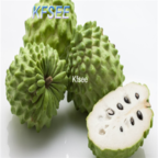 10usd Prodgf 20Pcs A Set Annona squamosa Fruit Seed