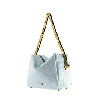 豆腐小号 幼蓝鳄鱼